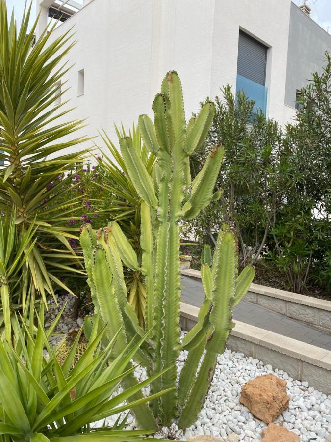 Oasis Beach Apartments Аликанте Экстерьер фото